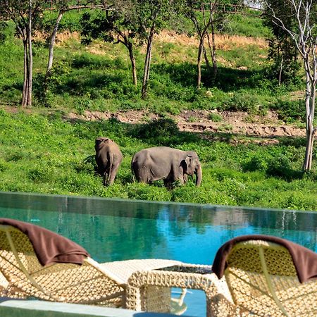 Wild Cottages Elephant Sanctuary Resort Amphoe Koksamui Eksteriør bilde