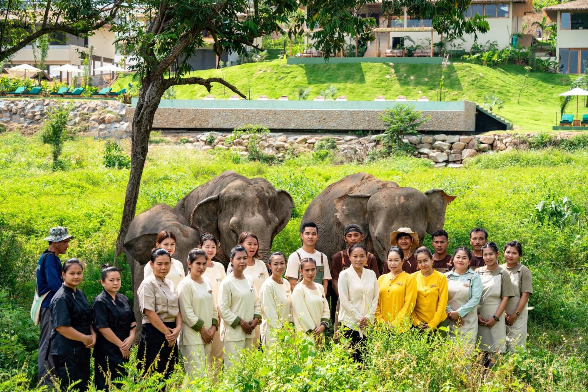 Wild Cottages Elephant Sanctuary Resort Amphoe Koksamui Eksteriør bilde