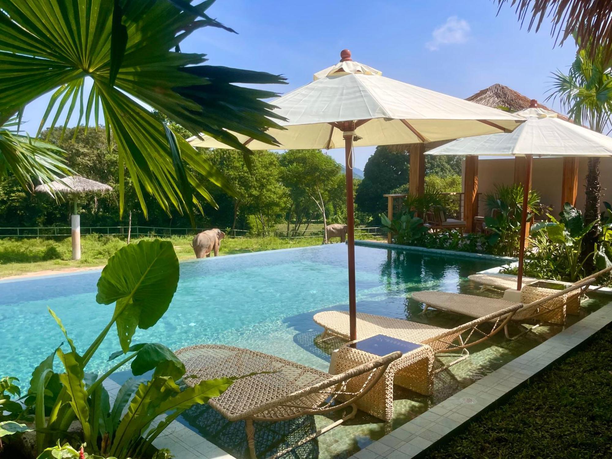 Wild Cottages Elephant Sanctuary Resort Amphoe Koksamui Eksteriør bilde