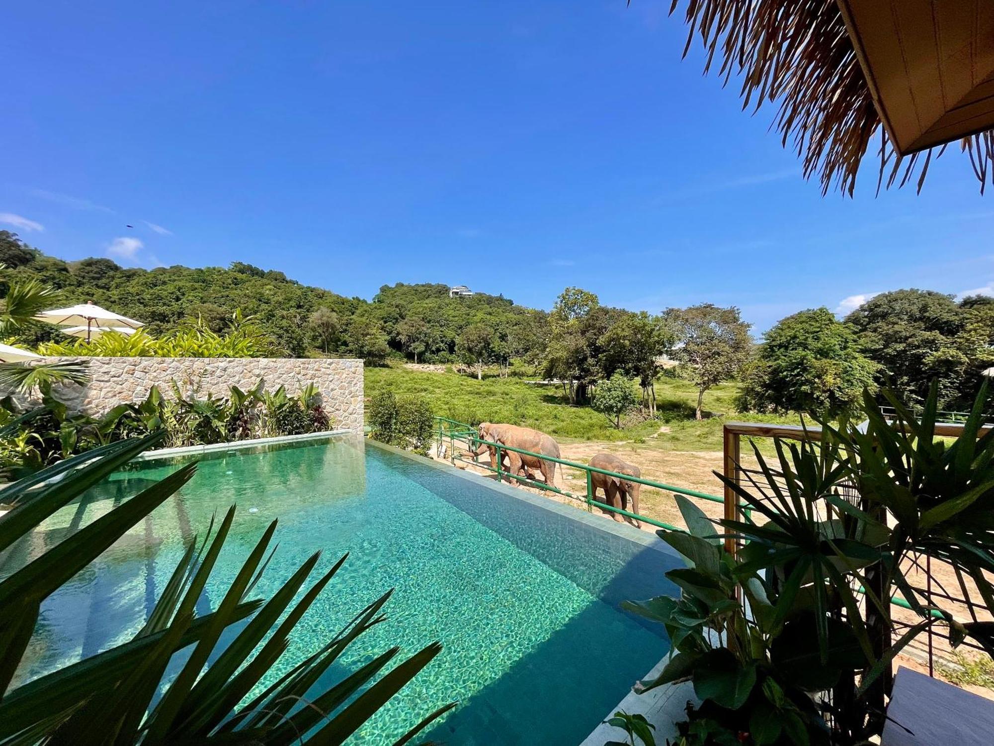Wild Cottages Elephant Sanctuary Resort Amphoe Koksamui Eksteriør bilde