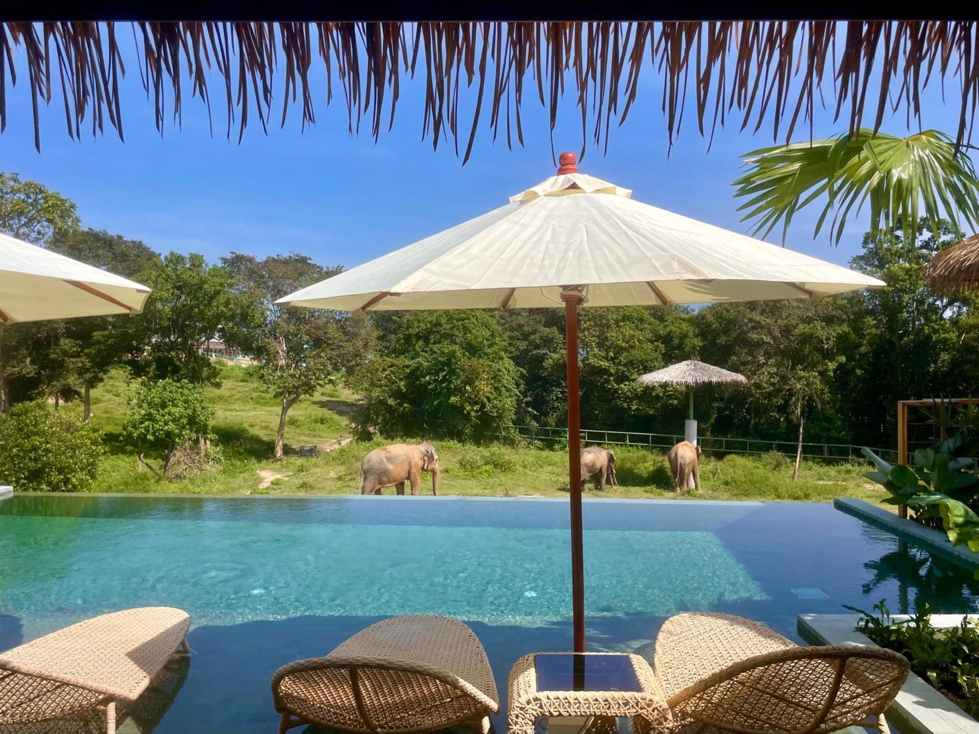 Wild Cottages Elephant Sanctuary Resort Amphoe Koksamui Eksteriør bilde